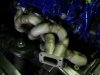 garage_vehicle-320-12563484561.jpg