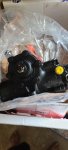 20200713_133519.jpg