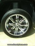 rim1.jpg