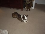IMGP0606.jpg