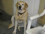 abby 012 (Large).jpg