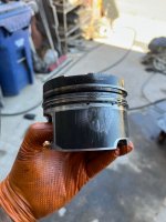 IMG_1041.jpg