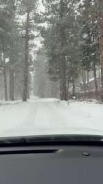 IMG_7174.jpeg