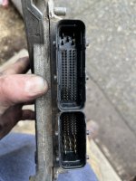 IMG_6141.jpeg