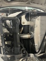 IMG_1936.jpeg