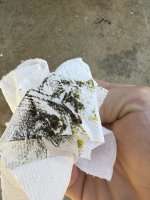 IMG_7679.jpeg