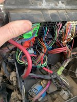 IMG_1892.jpeg