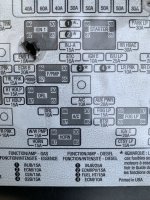 IMG_1896.jpeg