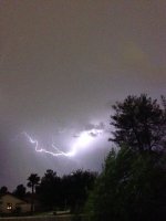 IMG_2273.jpeg