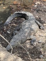 IMG_0094.jpeg