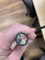IMG_2329.jpeg
