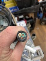 IMG_2331.jpeg
