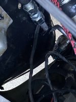 IMG_1581.jpeg