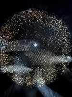 IMG_6487.jpeg