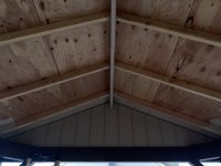 IMG_2675.jpeg