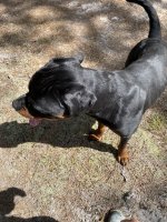 IMG_2222.jpeg