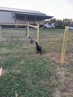 IMG_8536.jpeg