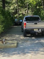 IMG_2239.jpeg