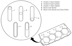images (1).png