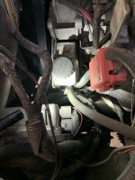IMG_2969.jpeg