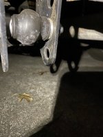 IMG_2797.jpeg