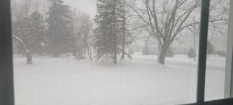 20260122_105657.jpg
