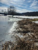 20260212_143641.jpg 20260212_143641.jpg