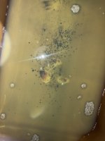 IMG_2782.jpeg