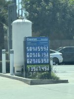 IMG_2876.jpeg