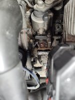 IMG_20260425_142609531.jpg