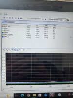 IMG_3137.jpeg