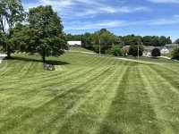 IMG_2989.jpeg