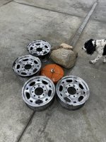IMG_2959.jpeg