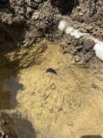 IMG_2986.jpeg