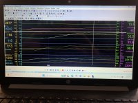 IMG_3904.jpeg