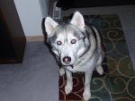 susans pics 128.jpg