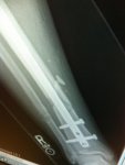 Sam's Iphone 344.jpg