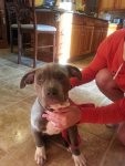 Sasha Sitting 12wks.jpg