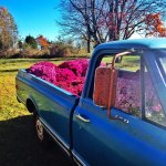 flower truck.jpg