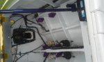 20160605_123710.jpg
