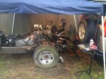 IMG_6784.jpg