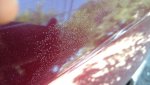 IMG_20170616_111159923~01.jpg