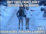 MG_2645.jpg