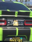 DOGE SRT.jpg