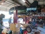 DSC_0115.jpg DSC_0115.jpg