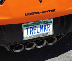 2019 PLATE Z06 .png