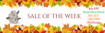 Sale of the Week Stock CP3 Pumps .png