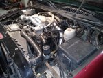 IMG_20200325_102216939.jpg
