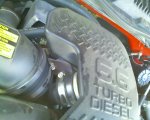 AFE or LLY 01.jpg