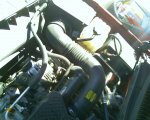 AFE or LLY 02.jpg